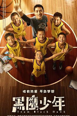 黑鹰少年封面