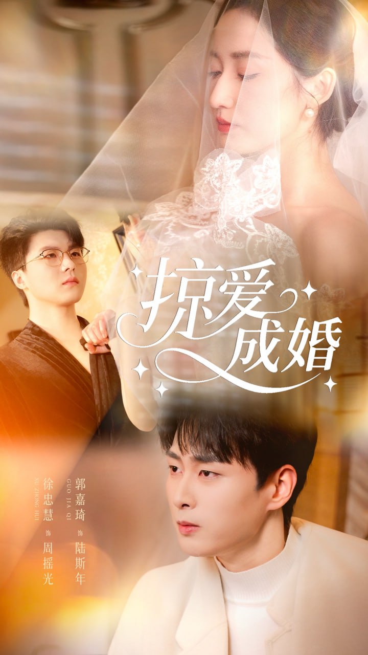 掠爱成婚封面