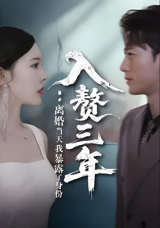 入赘三年：离婚当天我暴露了身份封面