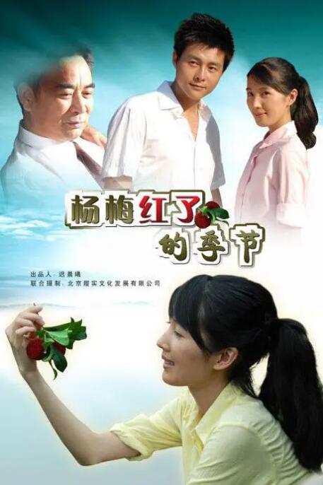 杨梅红了的季节封面