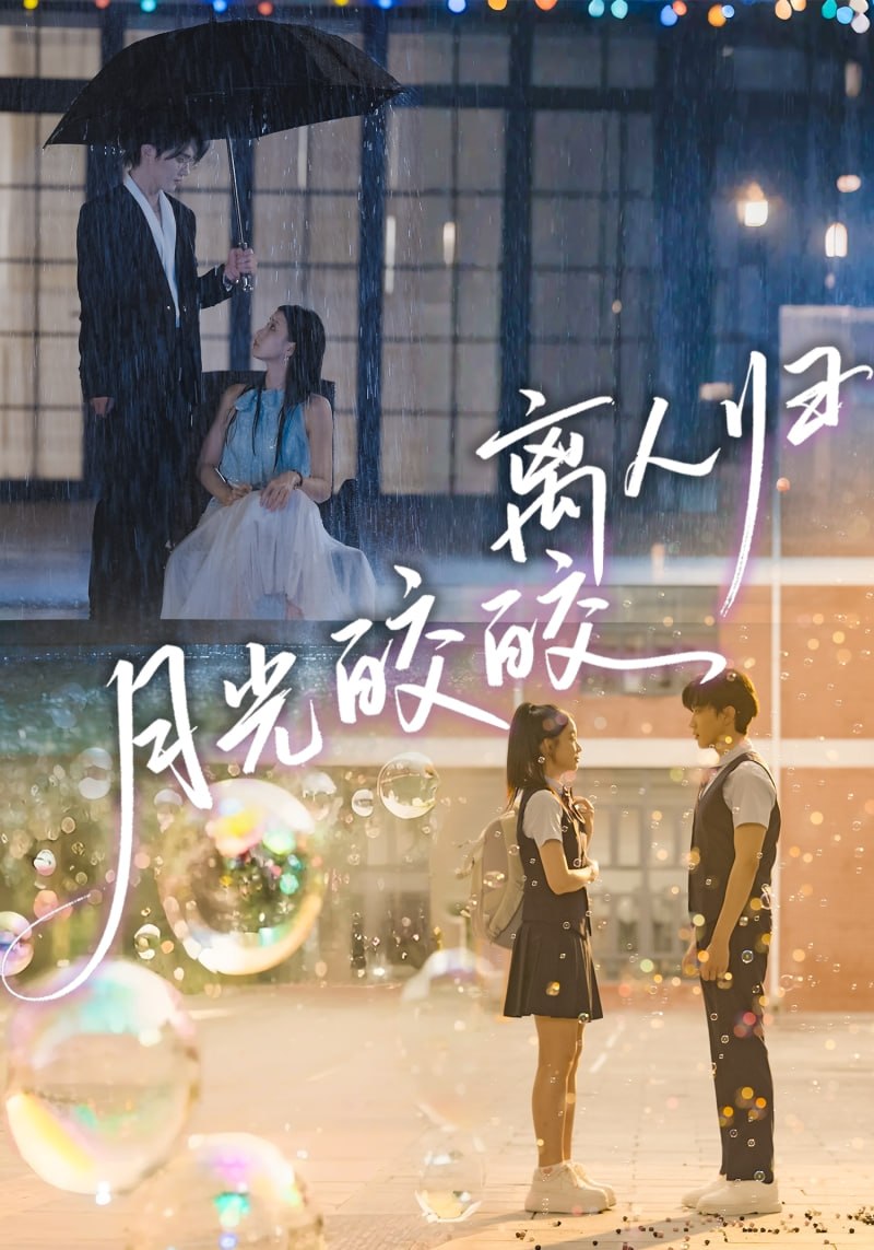 月光皎皎离人归封面