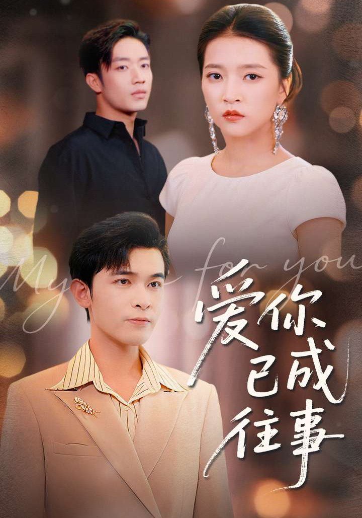 爱你已成往事封面