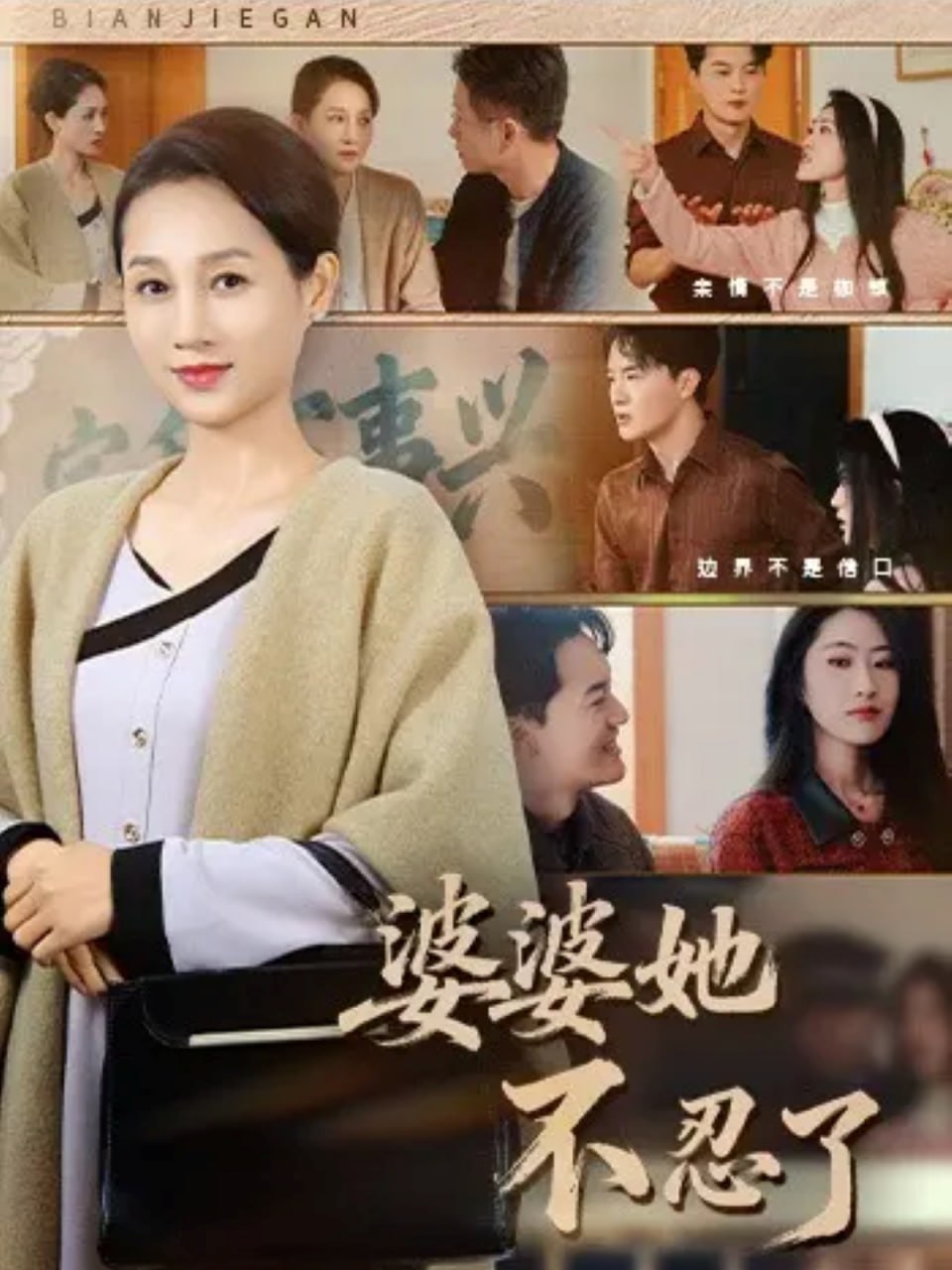 婆婆她不忍了封面