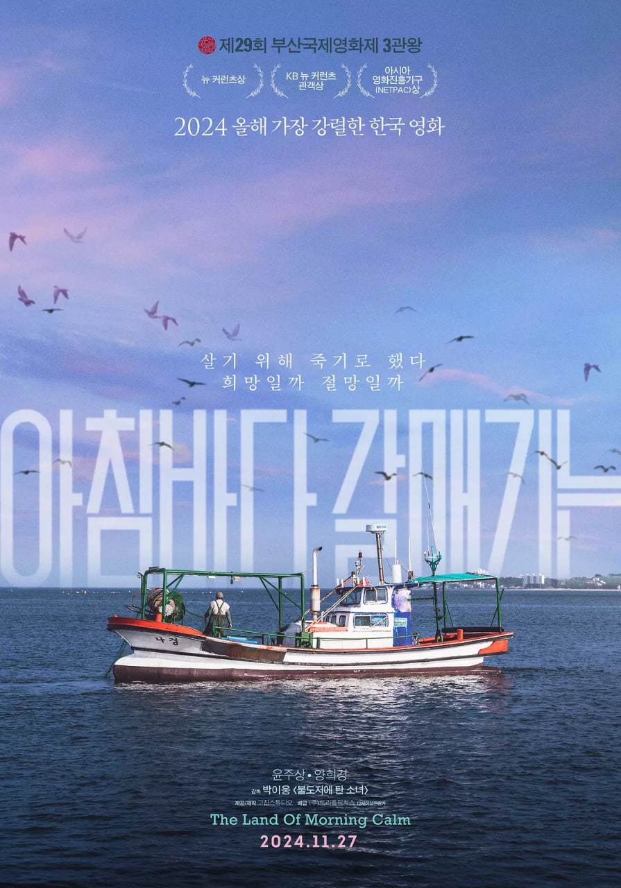 晨海的海鸥