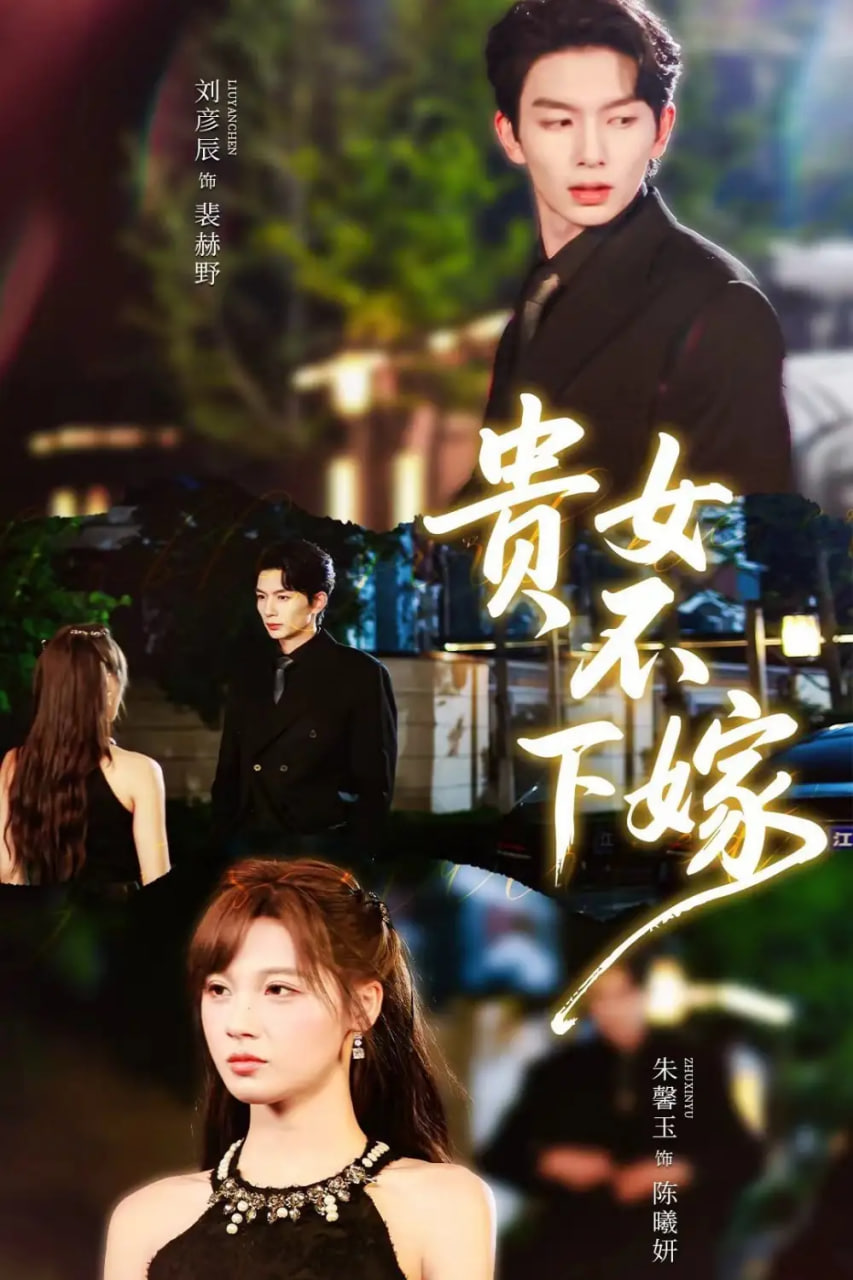 贵女不下嫁封面