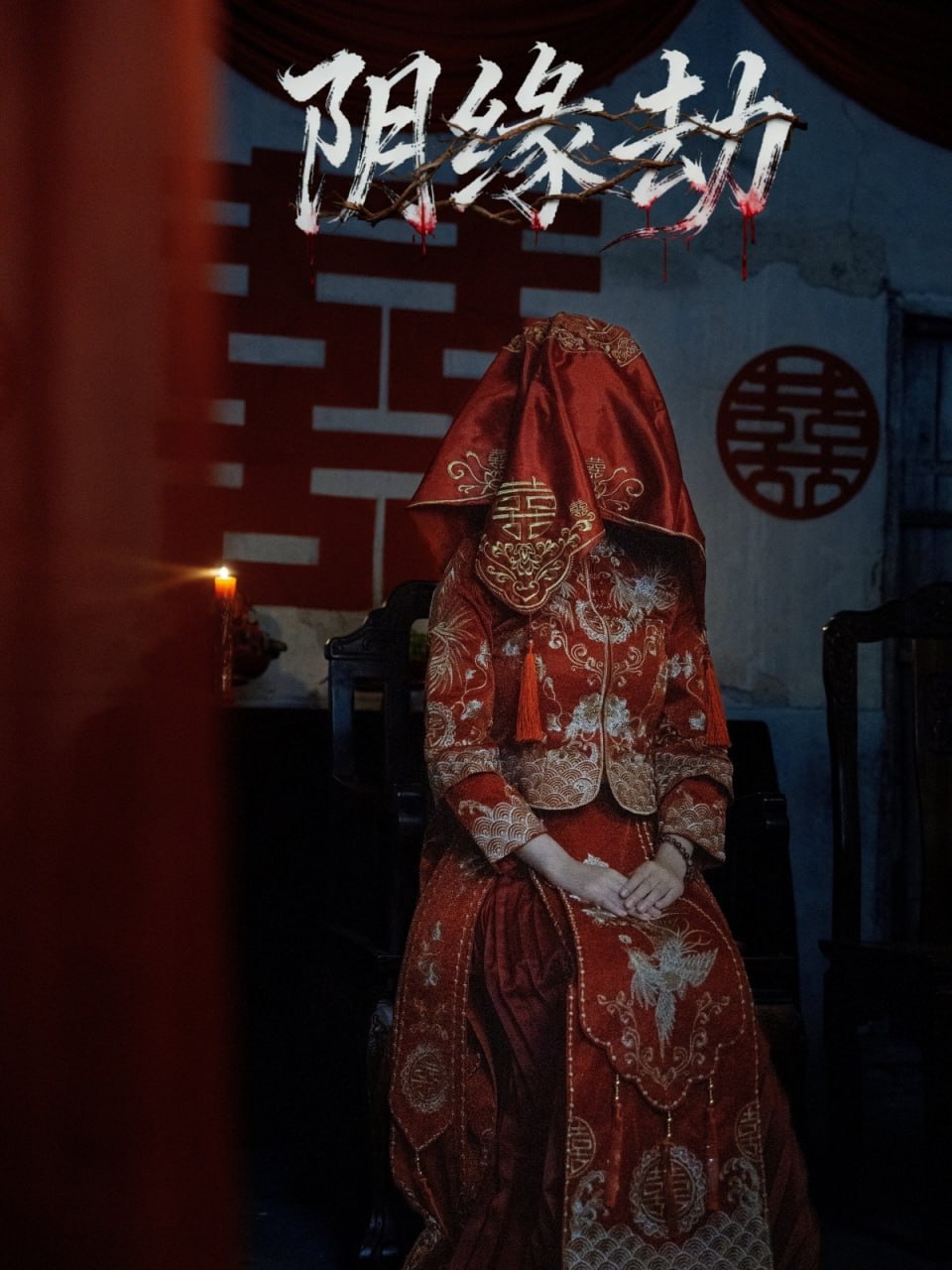 阴缘劫封面