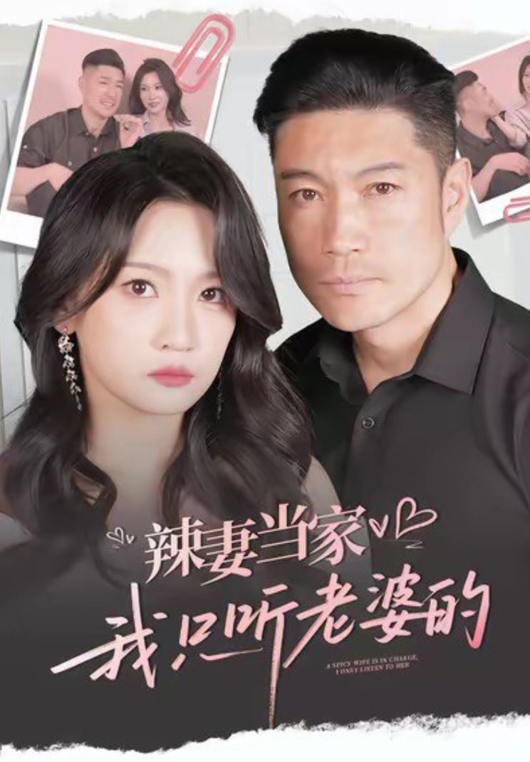 辣妻当家，我只听老婆的封面