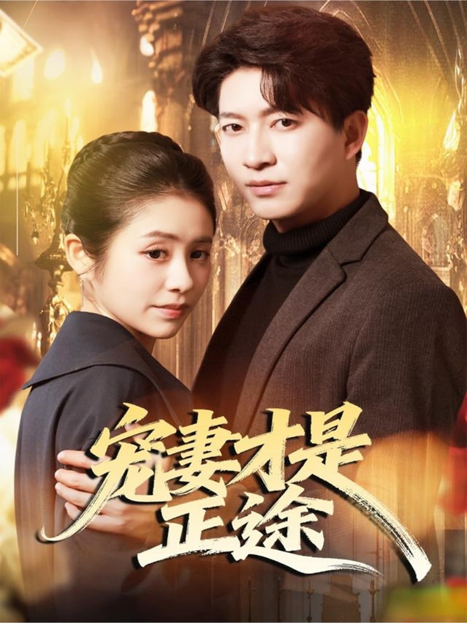 宠妻才是正途封面
