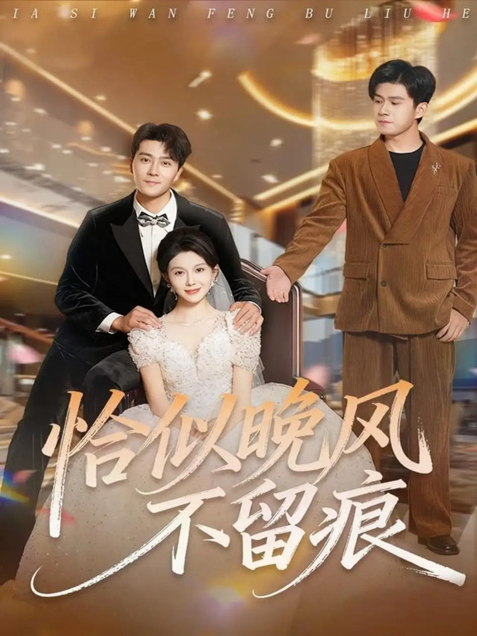 恰似晚风不留痕封面