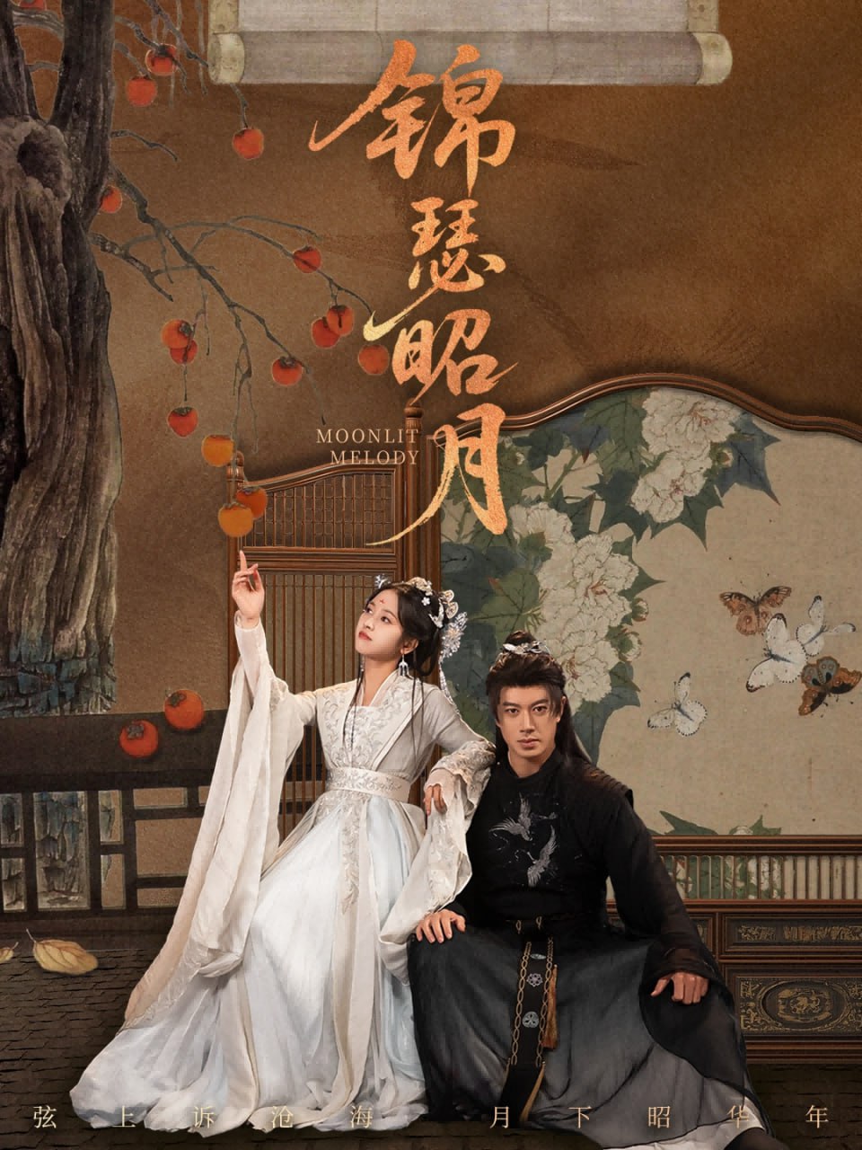 锦瑟昭月封面