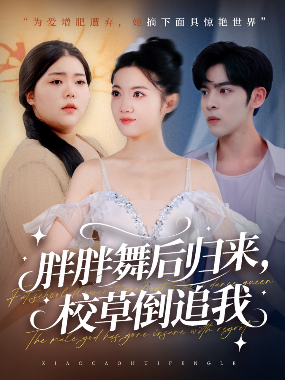 胖胖舞后归来校草倒追我封面