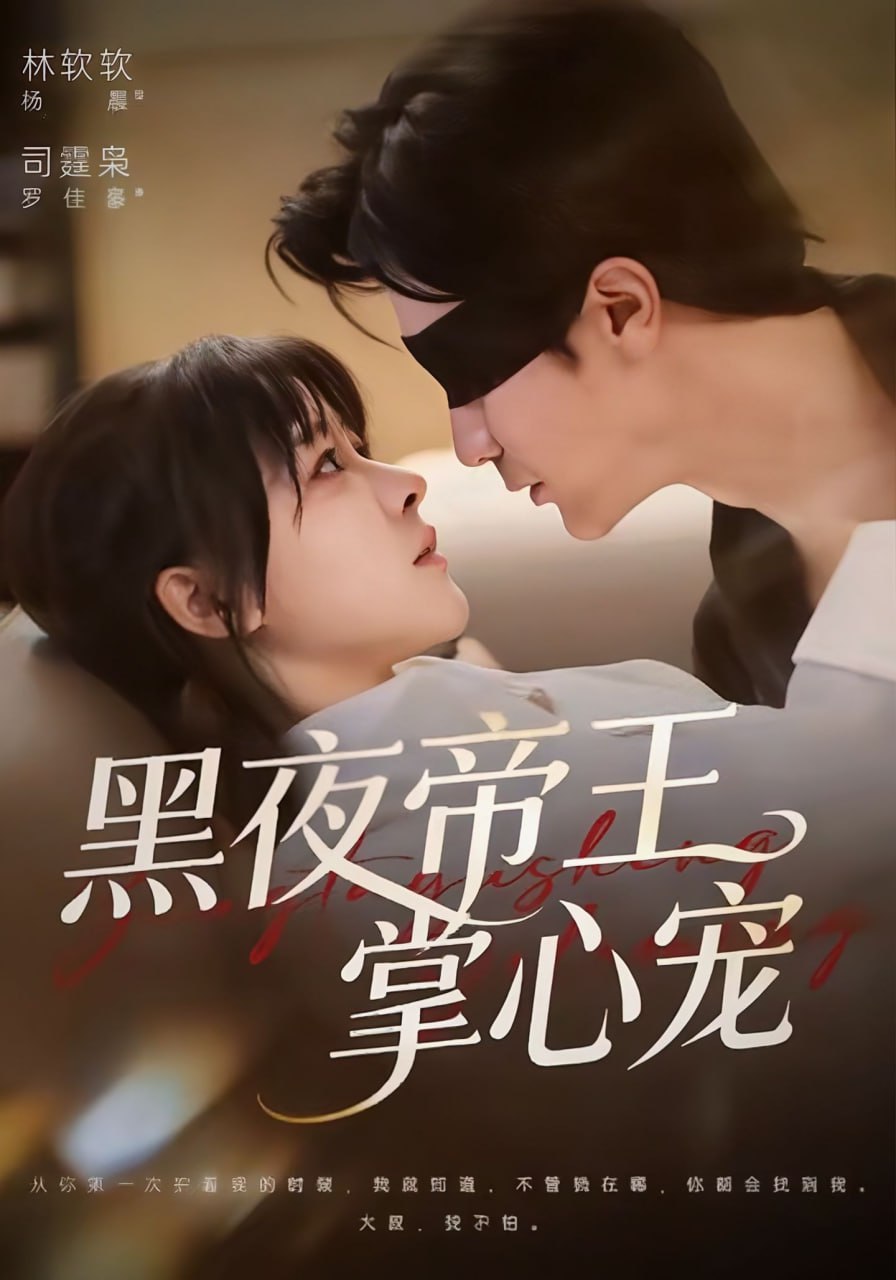 黑夜帝王掌心宠封面