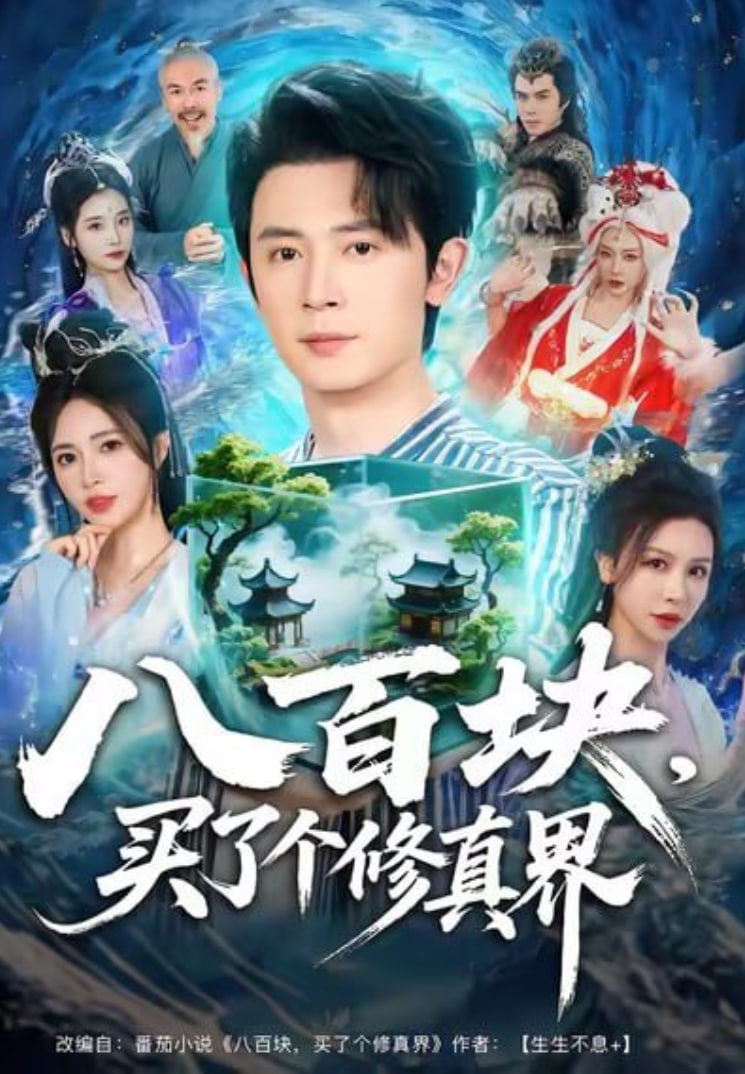 八百块，买了个修真界封面