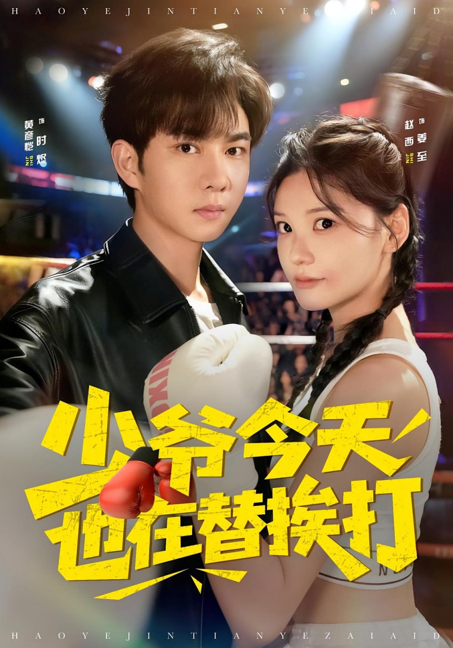 少爷今天也在替挨打封面