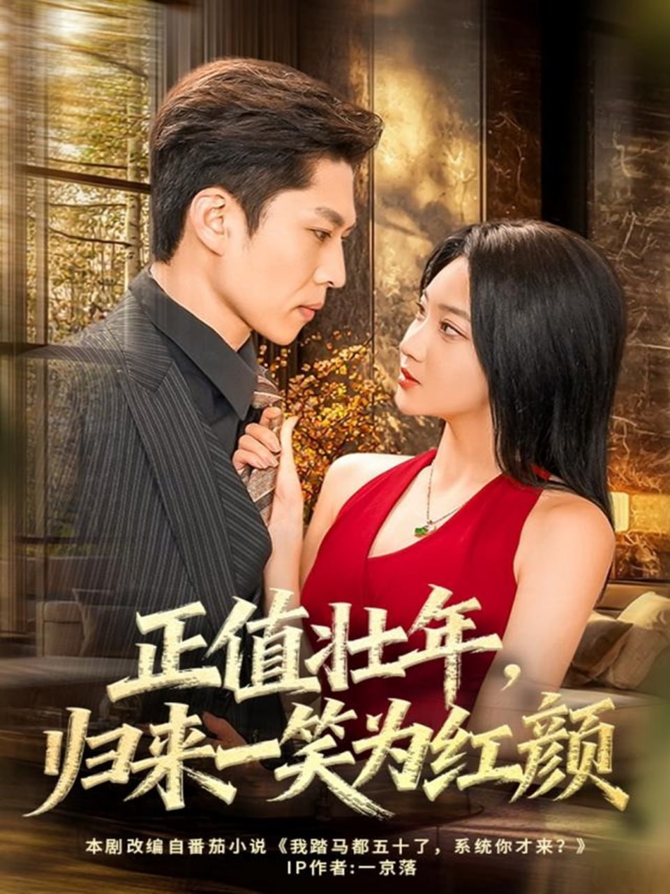 正值壮年，归来一笑为红颜封面