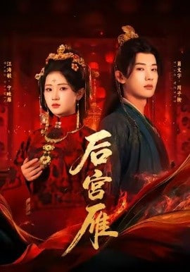后宫雁封面