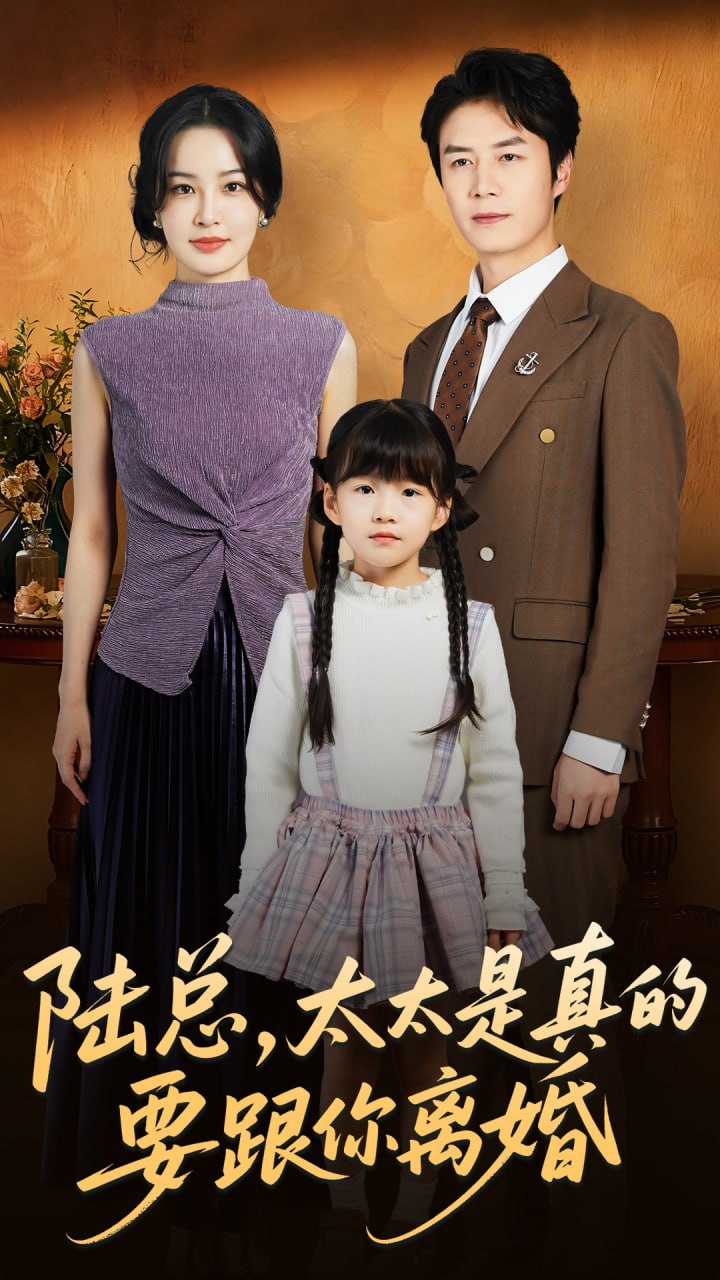 陆总太太是真的要跟你离婚封面