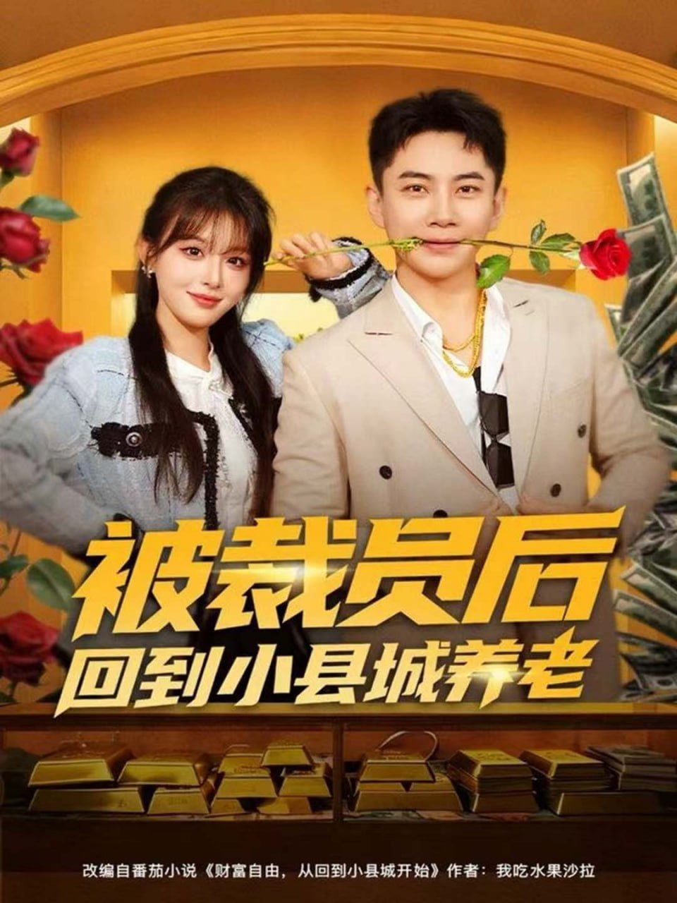 被裁员后回到小县城养老封面