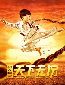 功夫阿宝：天下无拐封面