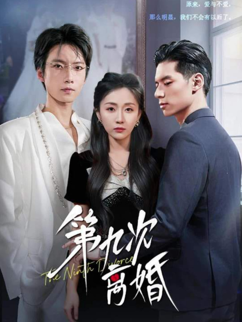 第九次离婚封面