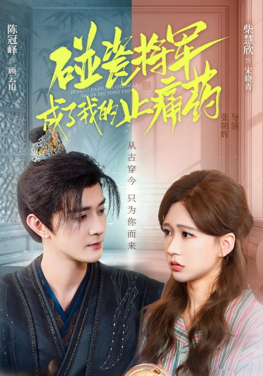 碰瓷将军成了我的止痛药封面