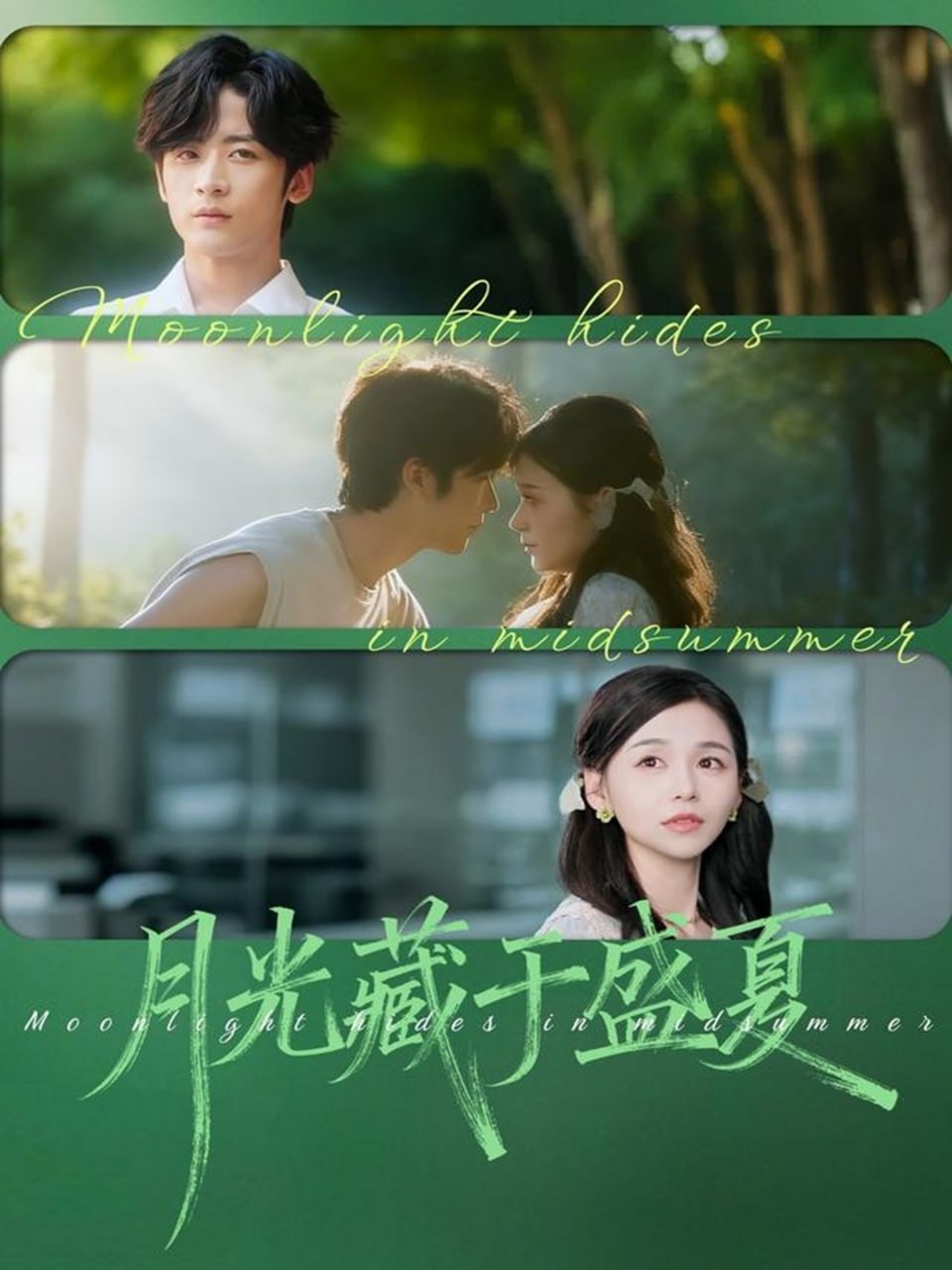 月光藏于盛夏封面
