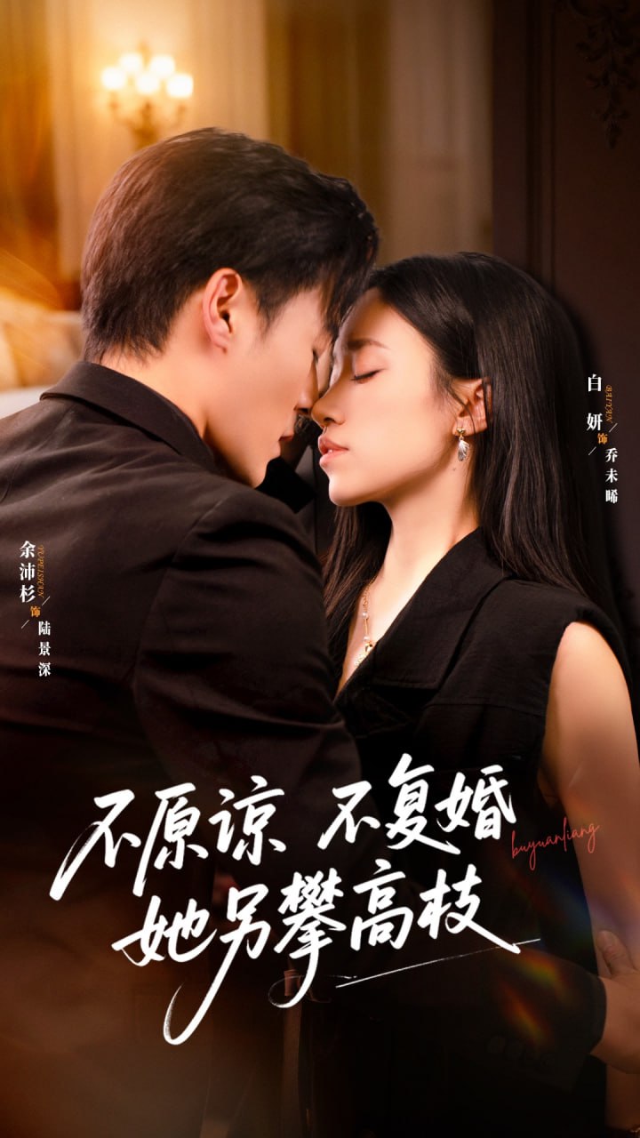 不原谅不复婚她另攀高枝封面