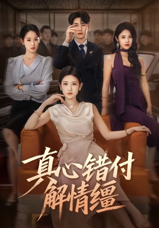 真心错付解情缰封面