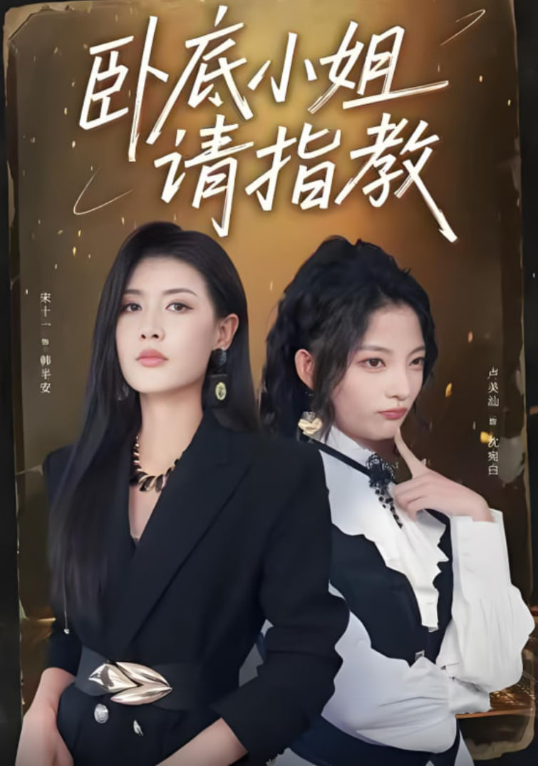 卧底小姐请指教封面