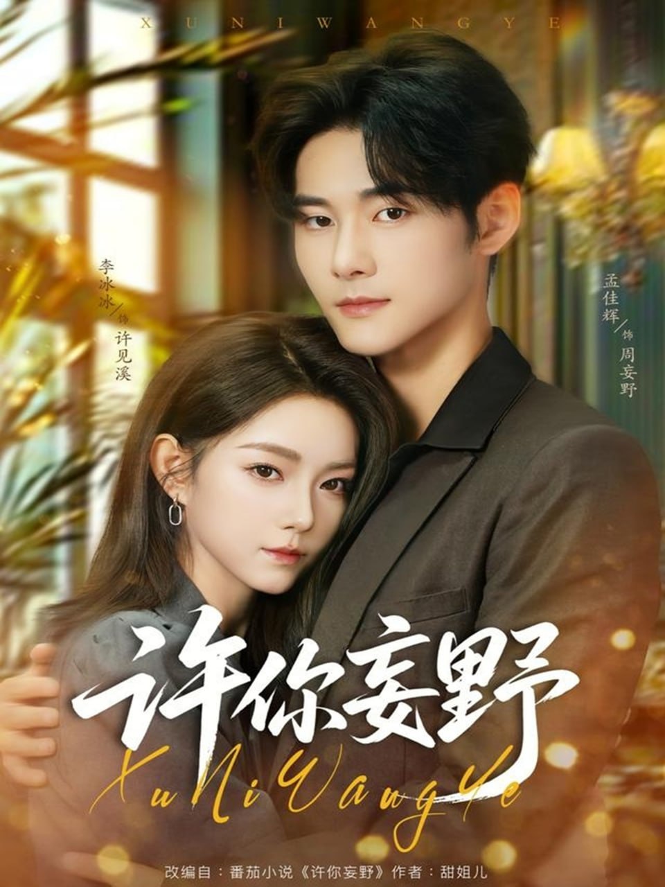 许你妄野封面