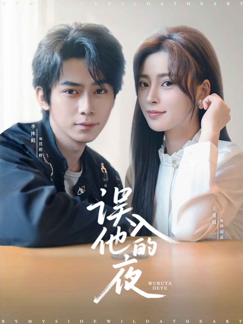 误入他的夜（烬夏危情）封面