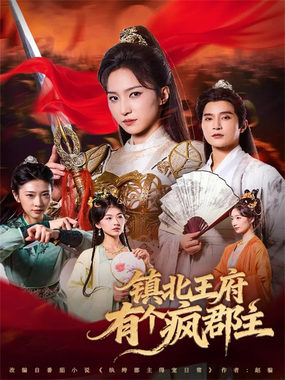 镇北王府有个疯郡主封面