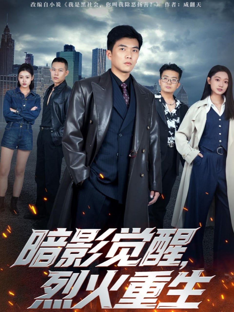 暗影觉醒，烈火重生封面