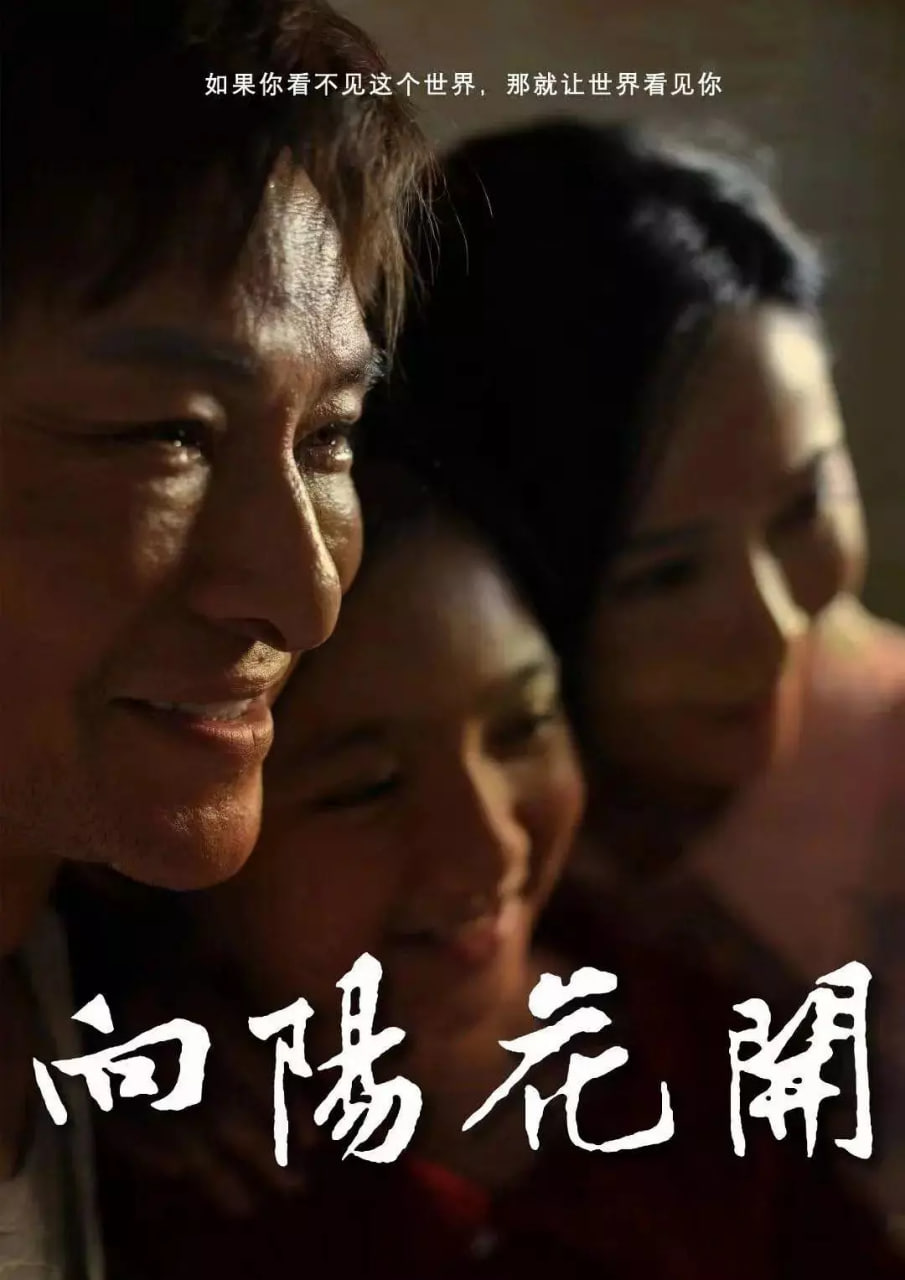 向阳花开 2024封面