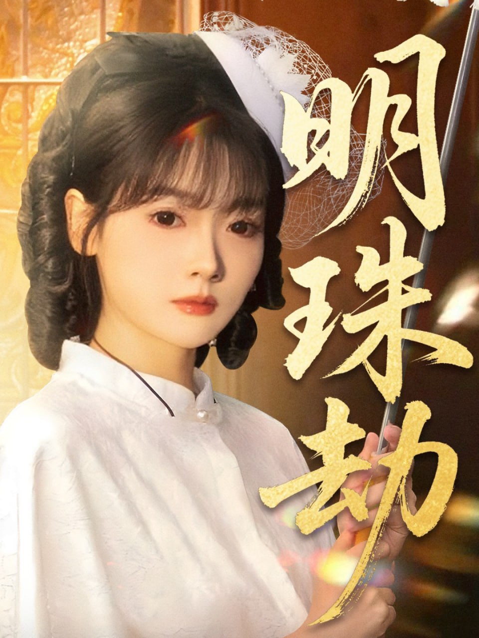 明珠劫（退退退她是陆帅独女）封面