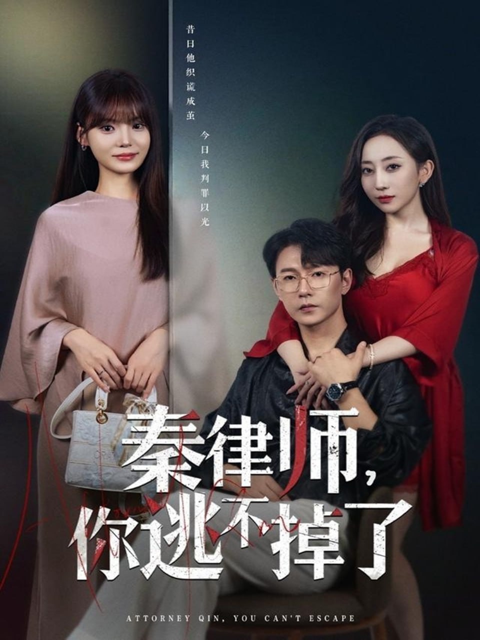 秦律师你逃不掉了封面