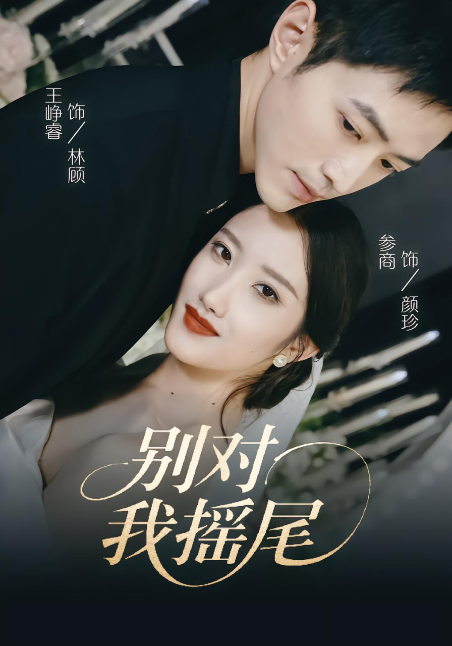 别对我摇尾封面
