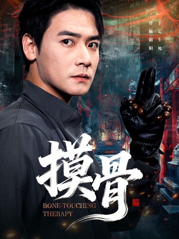 摸骨封面