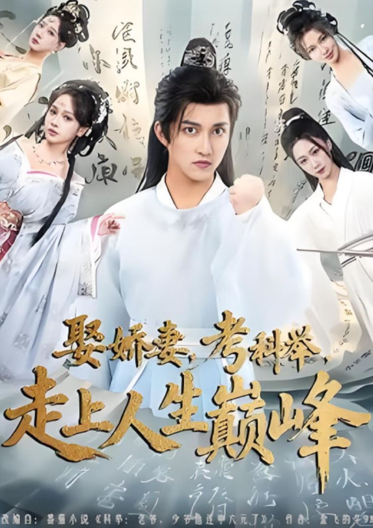 娶娇妻，考科举，走上人生巅峰封面
