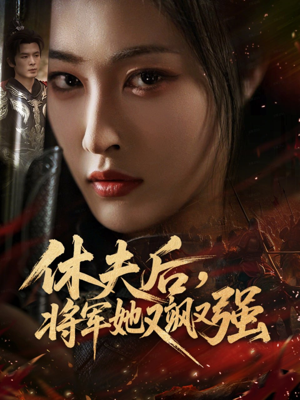 休夫后，将军她又飒又强封面