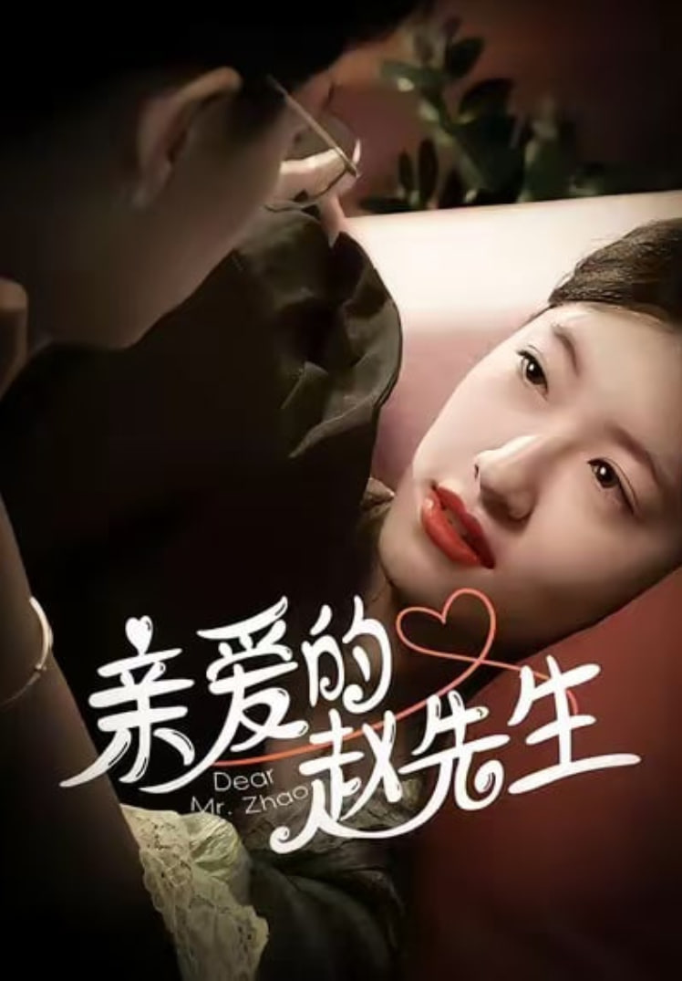 亲爱的赵先生封面