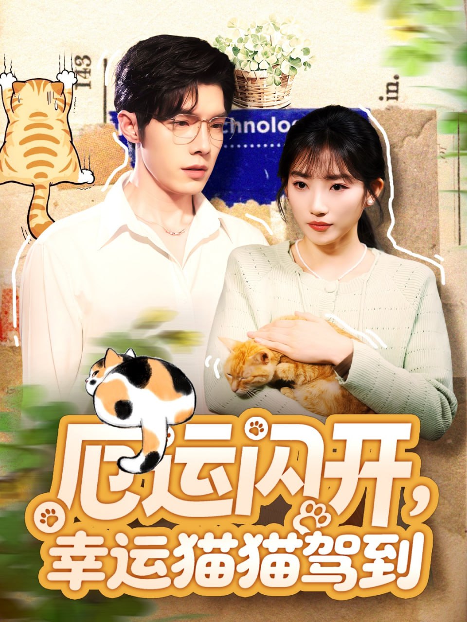 厄运闪开，幸运猫猫驾到封面