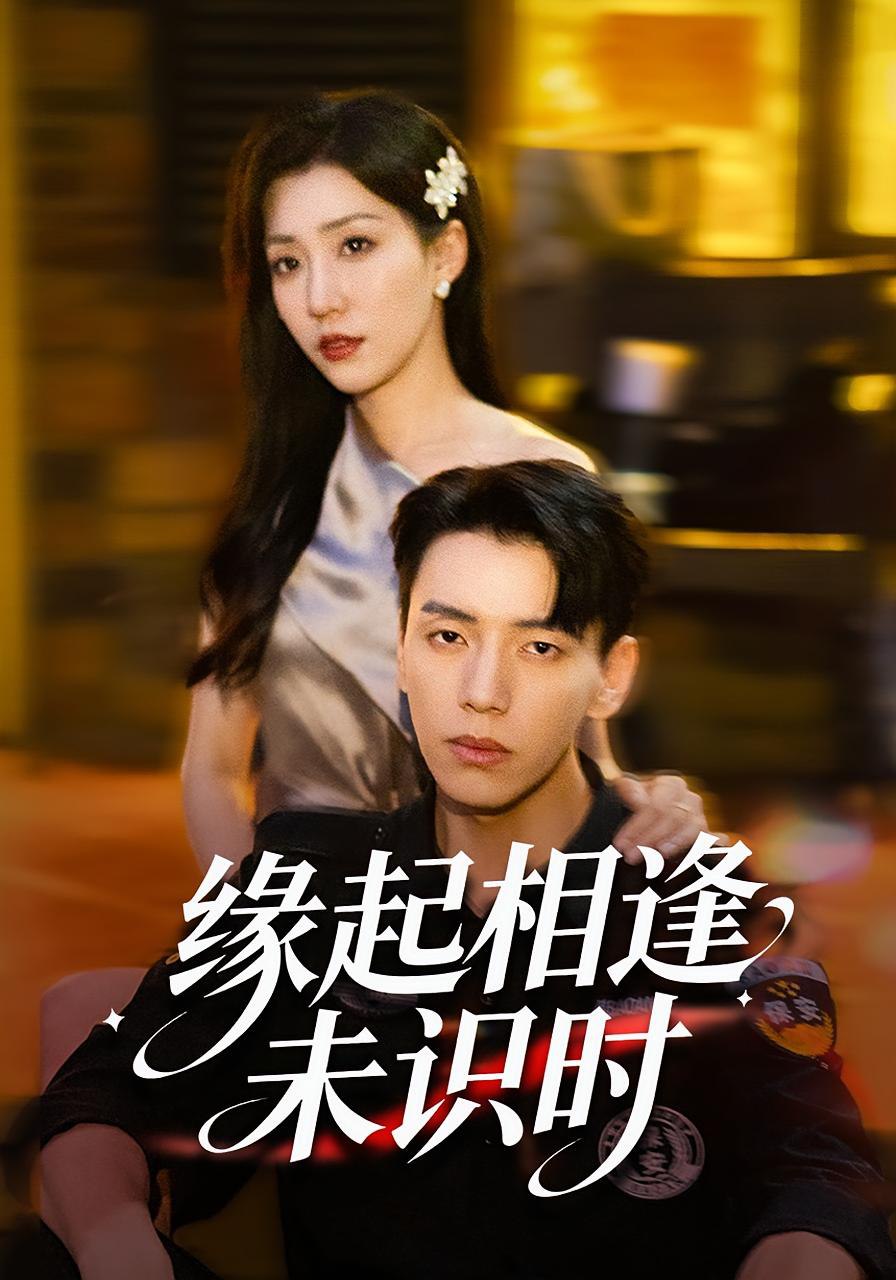 缘起相逢未识时封面