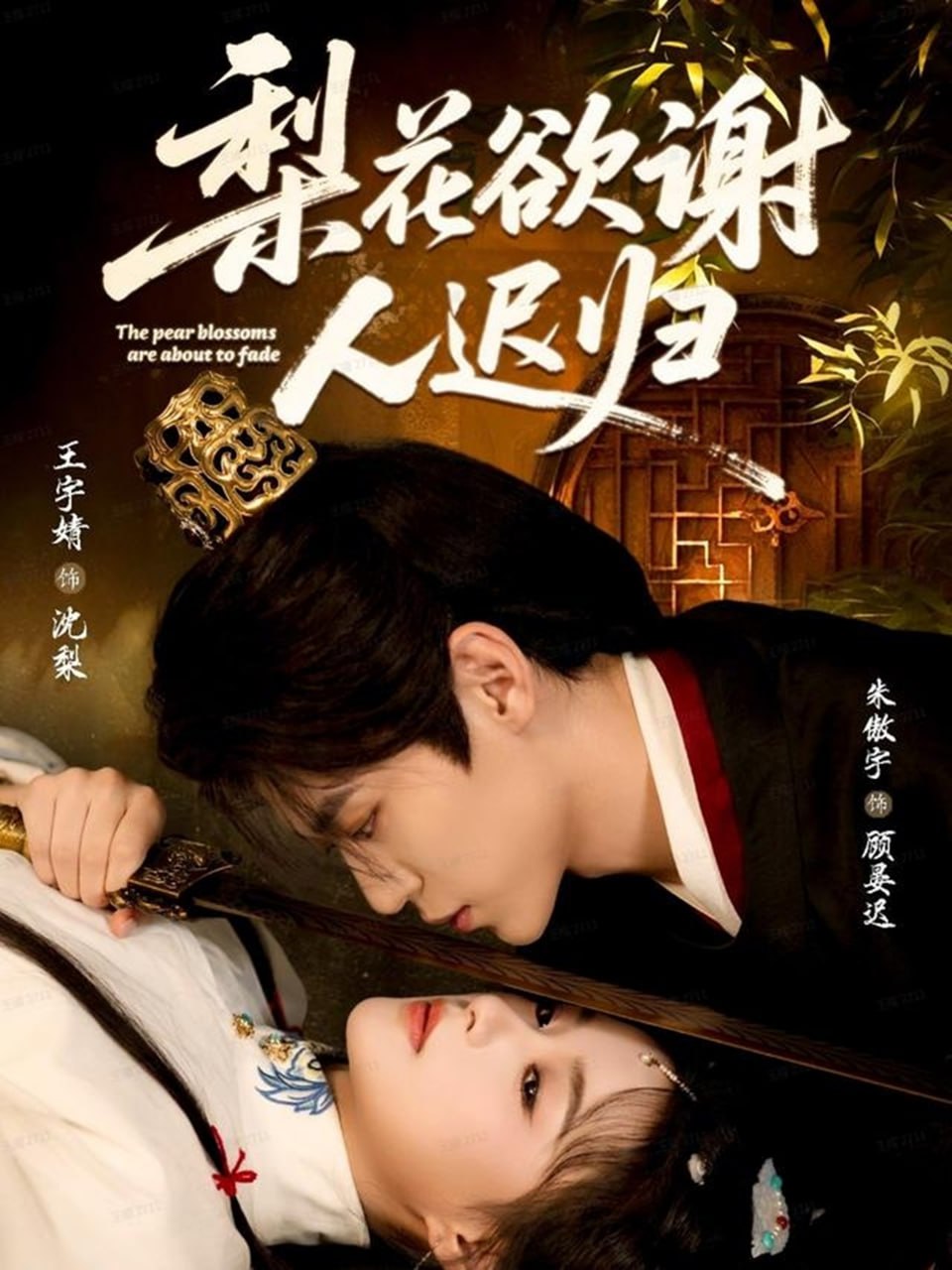 梨花欲谢人迟归封面