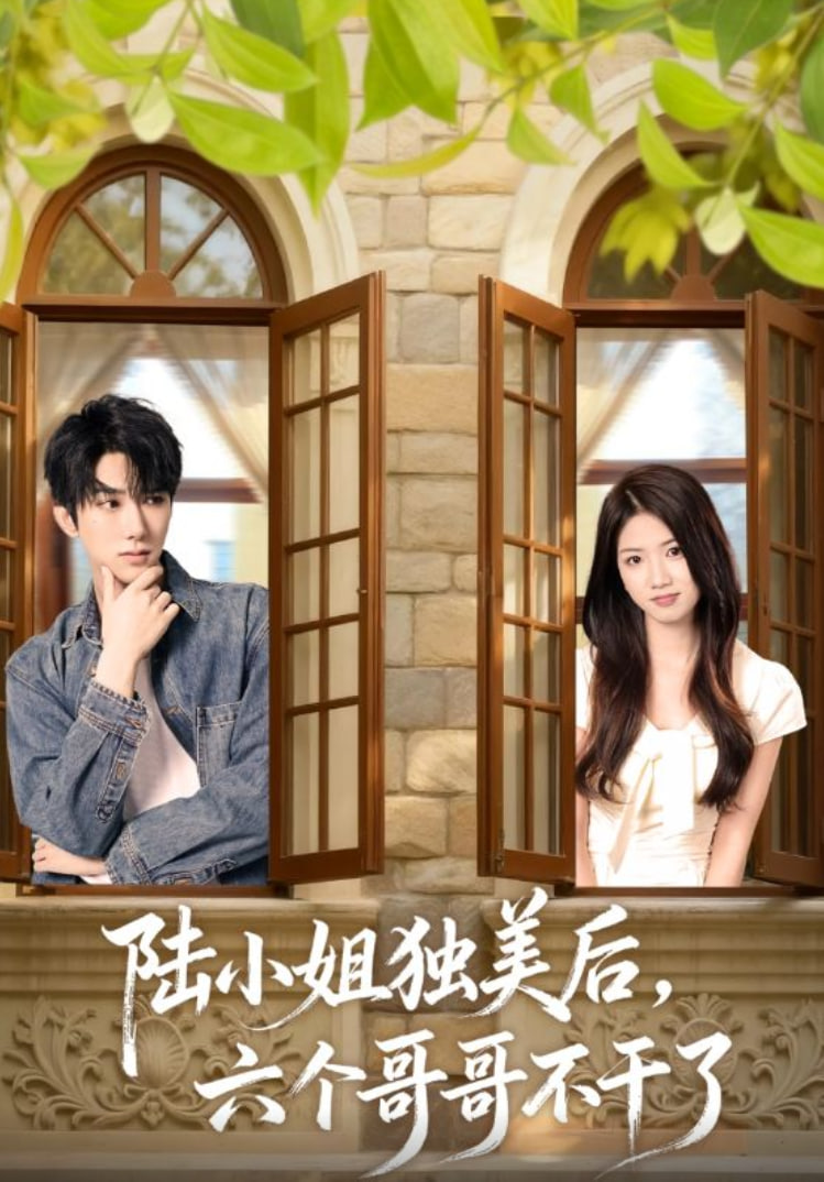陆小姐独美后六个哥哥不干了封面
