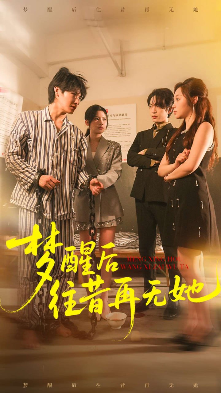 梦醒后往昔再无她封面