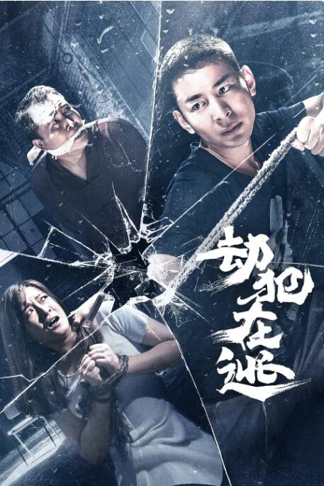 劫犯在逃封面