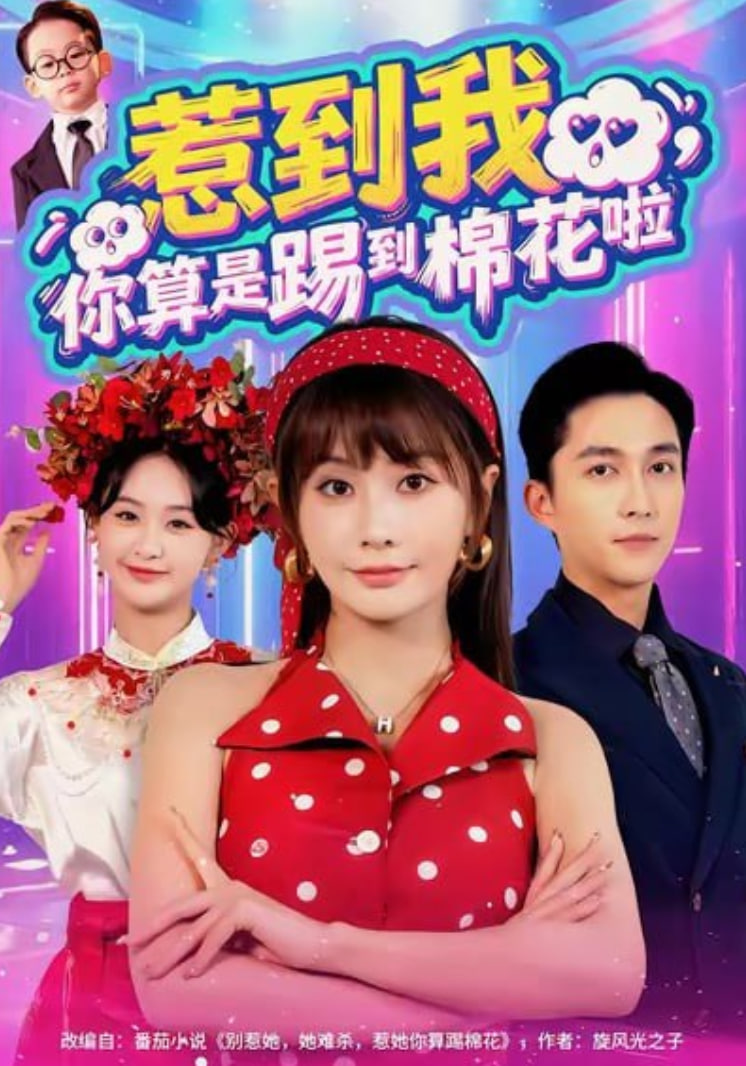 惹到我，你算是踢到棉花啦封面