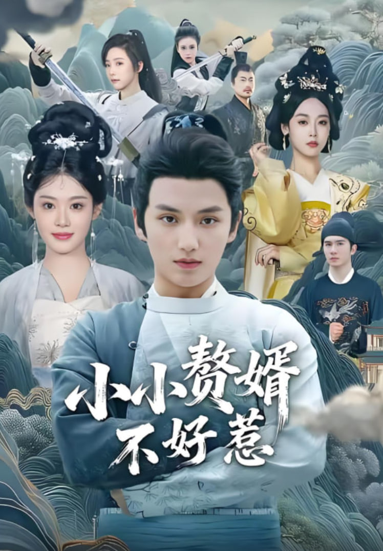 小小赘婿不好惹封面