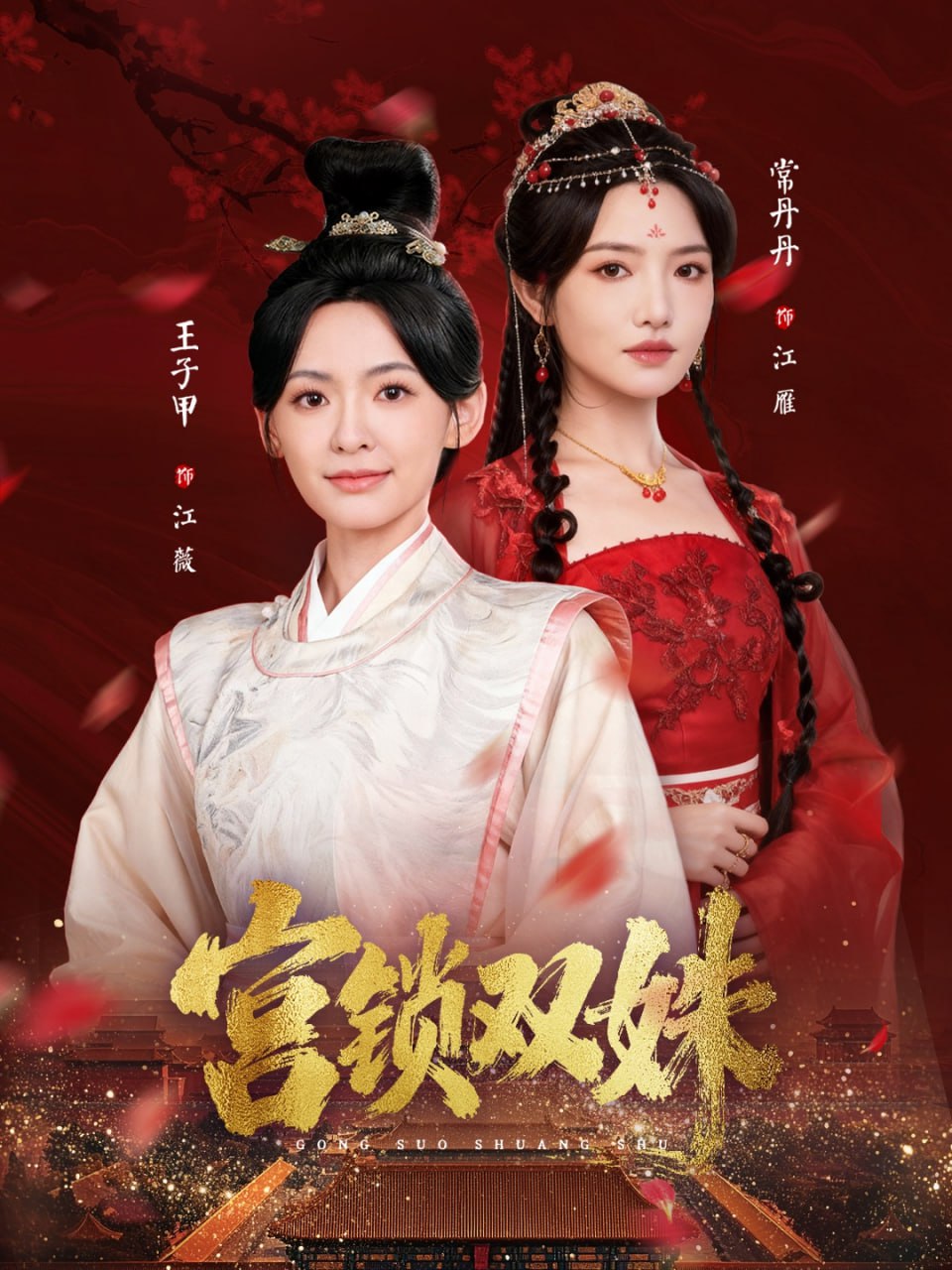 宫锁双姝封面